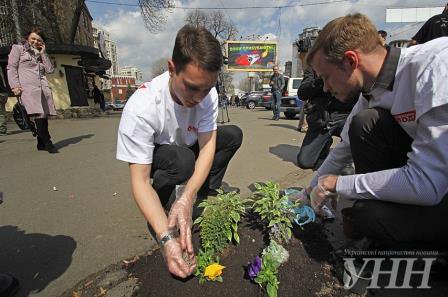 Киевляне украсили цветами ямы на дорогах. ФОТО