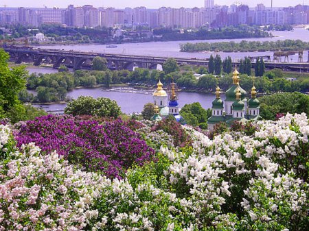 Природные достопримечательности в Украине, которые обязательно нужно посетить этой весной