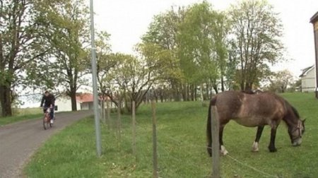 Тюрьма острова Бастой - когда наказание в радость. ФОТО