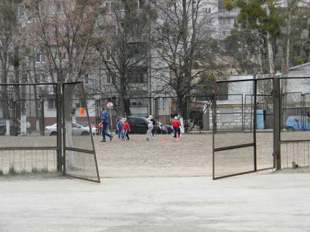 Житомирский активист самостоятельно 