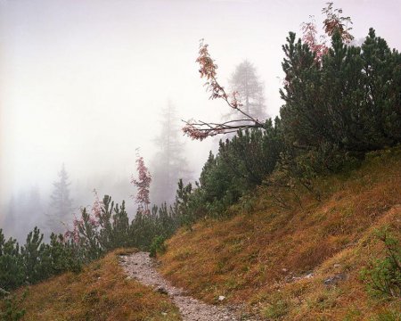 Проверка внимательности: Найди на фото снайпера