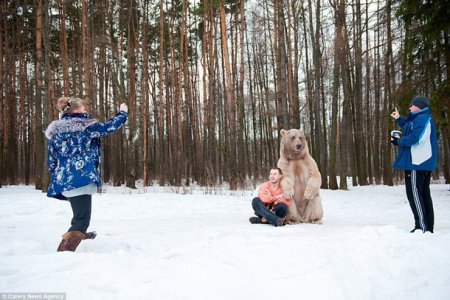 Уникальная фотосессия девушек с бурым медведем (12 ФОТО)