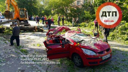 В Киеве тополь рухнул на Mitsubishi Colt: погиб ребенок (ТВ, видео)