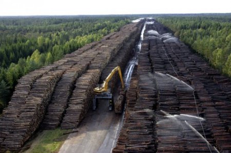 Самые необычные в мире технические свалки