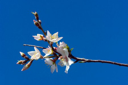 С чего начинается кофе: привычные нам продукты до сбора урожая. ФОТО