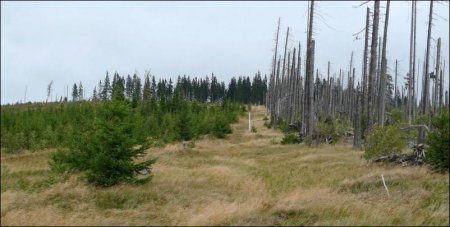 Самые необычные границы между странами мира. ФОТО