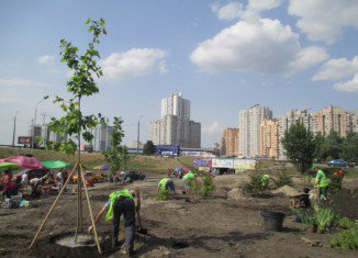 Так не доставайся же ты никому: в парке на Осокорках умышленно уничтожаются зеленые насаждения