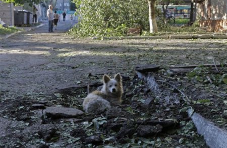 84 дня войны в воспоминаниях славянцев.