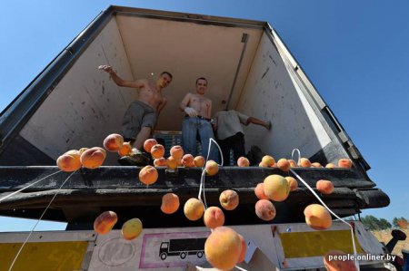 Показательное уничтожение 200 тонн персиков на брянской границе. ФОТО+ВИДЕО