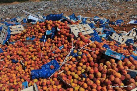 Показательное уничтожение 200 тонн персиков на брянской границе. ФОТО+ВИДЕО