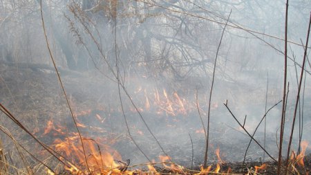 Молния в Бурятии наделала лиха