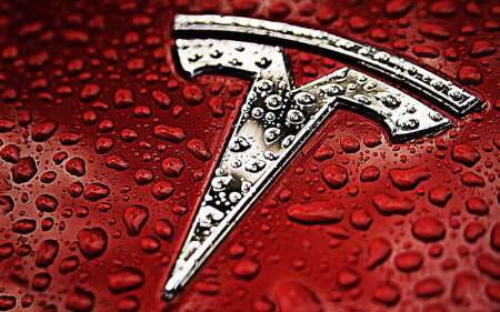 Tesla Motors стремительно теряет поклонников - блогер