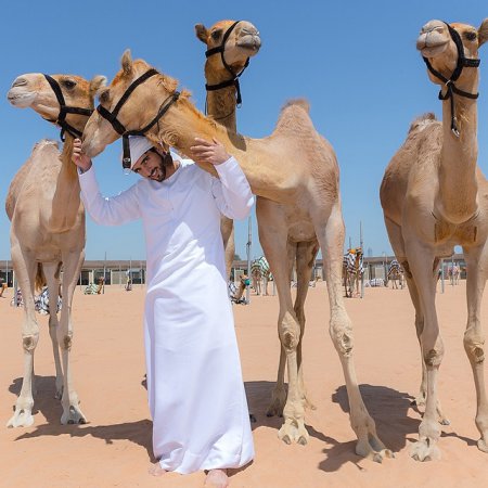 Земная жизнь принца Дубая. ФОТО