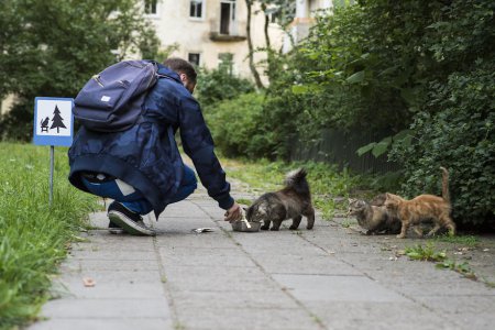 В Вильнюсе набирает оборот движение 