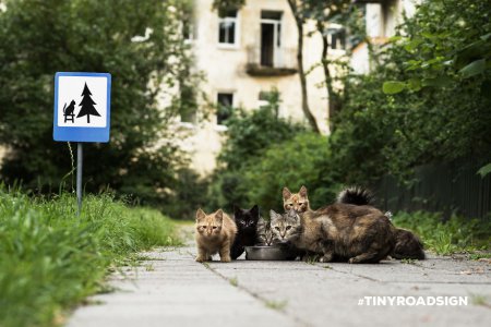 В Вильнюсе набирает оборот движение 