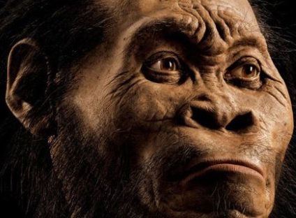 У Південній Африці виявлено сліди нових видів предків людини