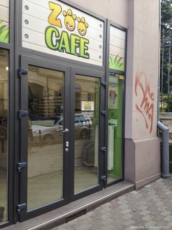 Во Львове работает необычное "КотоКафе". ФОТО