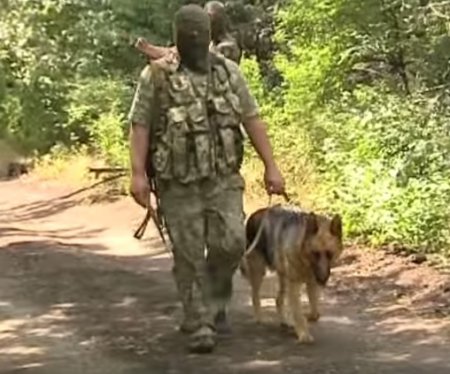 Донбасс заминированный: как не попасть в ловушку (ТВ, видео)