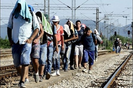Нелегальные мигранты из Сирии добрались до Украины