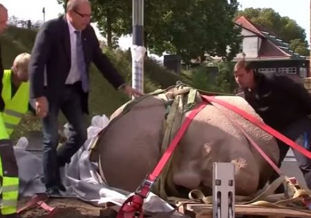 Археологи відкопали в Німеччині "голову Леніна". ВІДЕО