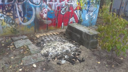 Прохоботи спалили київському собаці дім. ФОТО