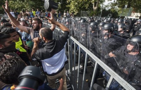 Мигранты в Венгрии устроили беспредел. ВИДЕО