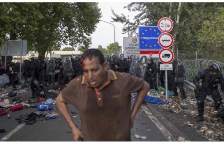Мигранты в Венгрии устроили беспредел. ВИДЕО