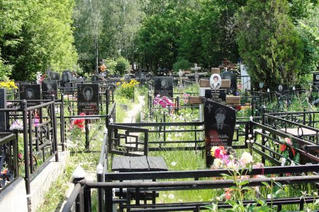 В Винницкой области сатанисты раскопали могилу молодой женщины (ТВ, видео)