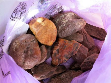 Пограничники обнаружили почти 7 килограммов янтаря на границе с Польшей. ВИДЕО