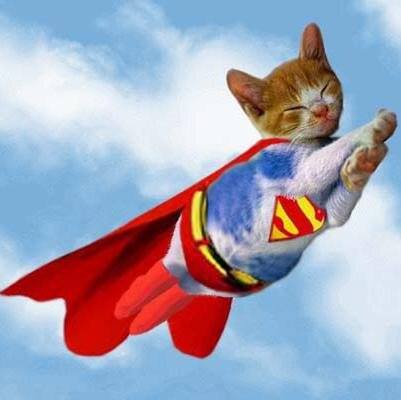 У Білорусі кіт-супермен врятував цілу родину від страшної пожежі