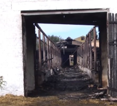 В Черкасской области подожгли ферму (ТВ, видео)