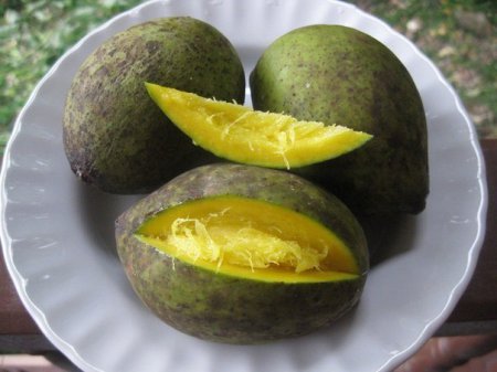 Фрукт зі смаком борщу зі сметаною