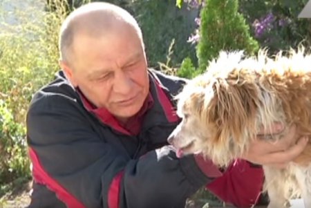 В Украине живет пес-долгожитель: 30 лет - это рекорд (ТВ, видео)
