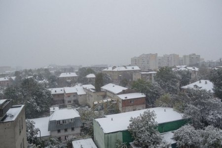 Львів зустрів перший сніг (Фото, Відео)