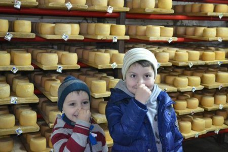 Занедбану сироварню прикрито - патруль! Відео