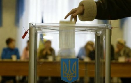 Совет Европы похвалил проведение местных выборов в Украине