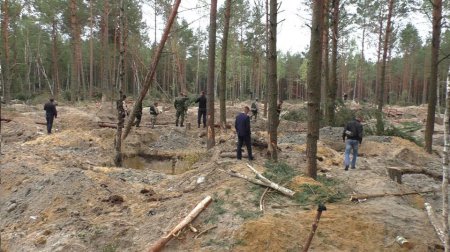 В лесах на Волыни снова стреляли из-за янтаря (ТВ, видео)