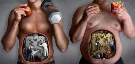 Время переваривания пищи в желудке человека