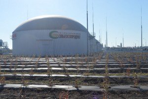 САМЫЙ мощный биогазовый завод введен в эксплуатацию!