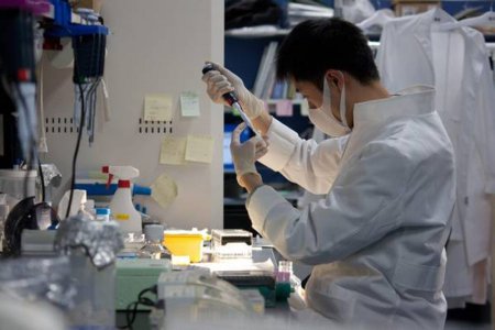 Ученые из Японии изобрели лекарство, убивающее вирус гриппа за один день
