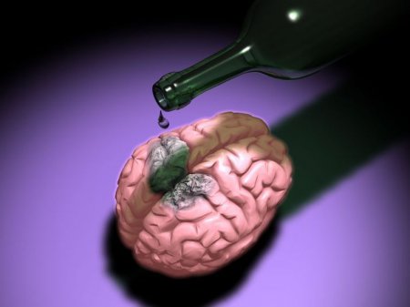Алкоголь убивает клетки мозга - ПРАВДА или МИФ?