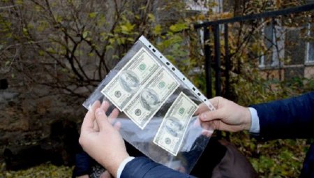 Виживання українців: давання хабарів-норма життя