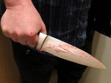 Кровавое ограбление в Бердичеве: преступник с двумя ножами напал на семью (ТВ, видео)