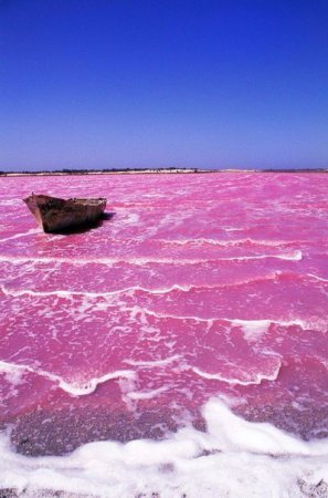 Озеро с розовой водой. ФОТО