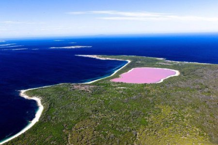 Озеро с розовой водой. ФОТО