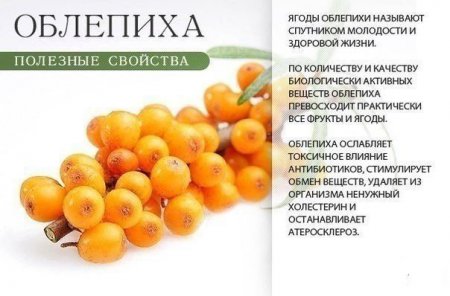 О пользе оранжевых продуктов