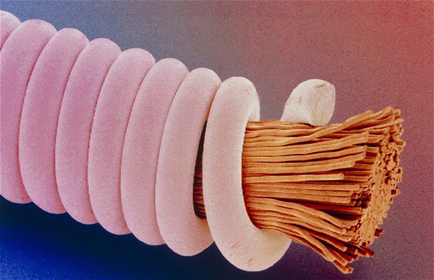 Необычные фотографии обыденных вещей под микроскопом. ФОТО