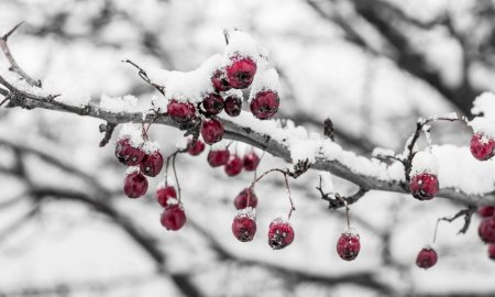 3 декабря в Украине ожидается похолодание
