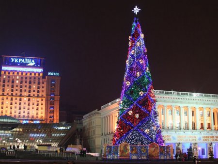 В Киев прибыла главная новогодняя елка Украины