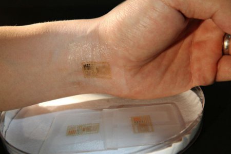 В США разработали первый «живой» кремниевый микрочип